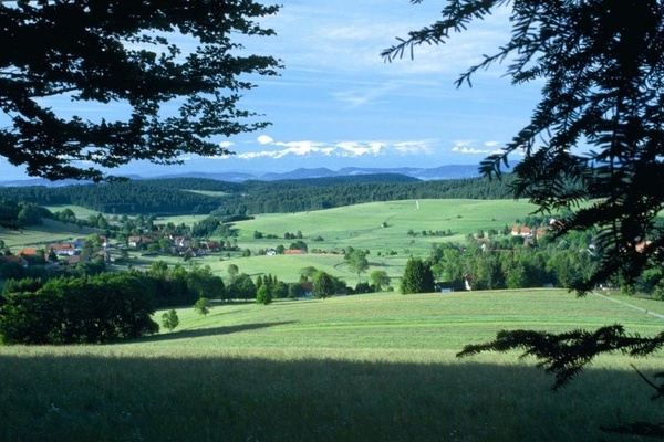 Blick ber den malerischen Hotzenwald